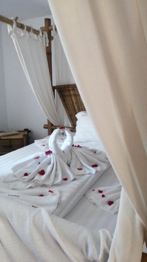 Pensiunea Rosenau Rîşnov Kültér fotó